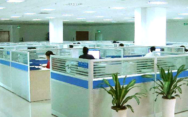 河南雙誠技術部增添綠植，提升辦公環(huán)境